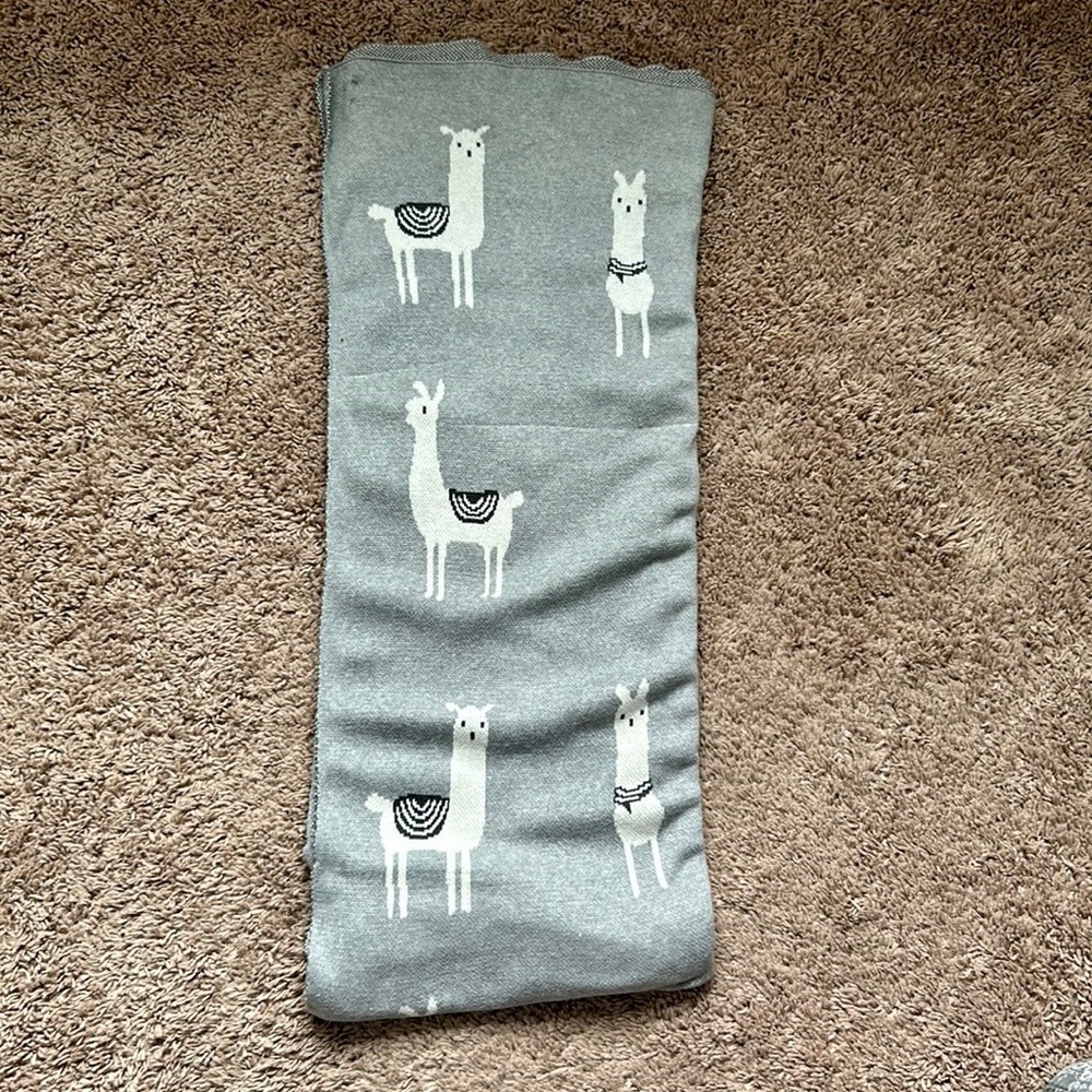 Anthropologie Llama Blanket
